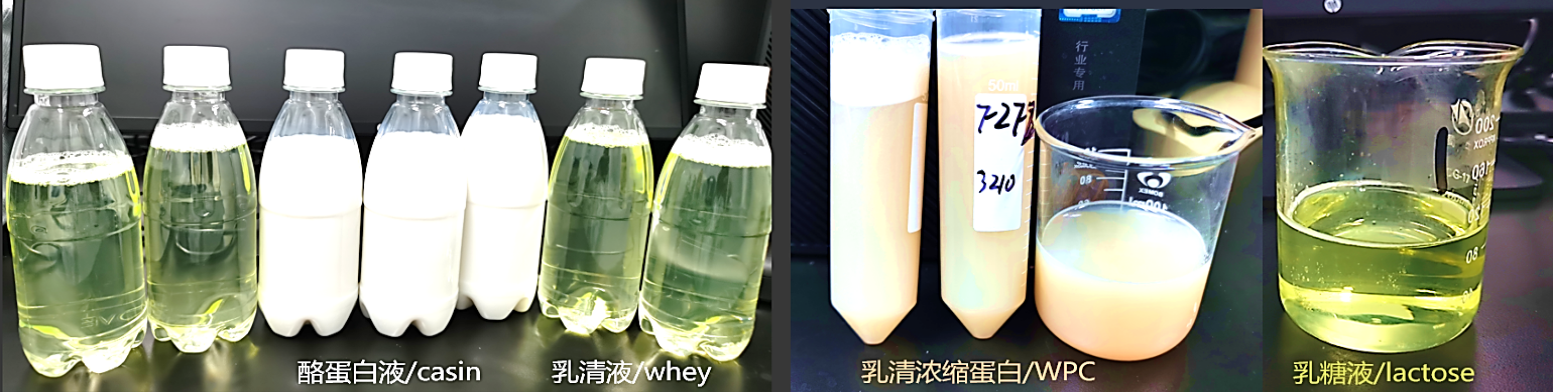 牛奶全分离工艺 样品示意图3.png